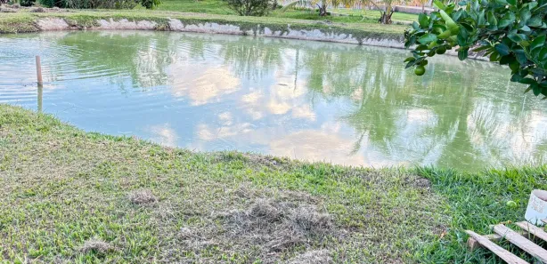 Fazenda / Sítio / Chácara com 3 Quartos à venda, 3000m² no , Nerópolis