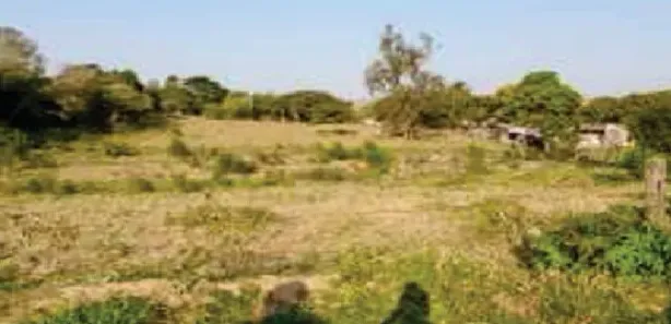 Terreno / Lote / Condomínio à venda, 11364m² no , Sarapuí