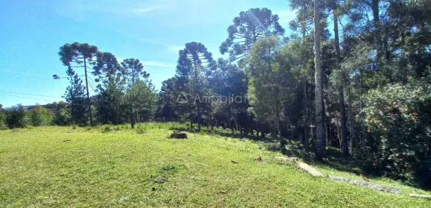 Fazenda / Sítio / Chácara com 3 Quartos à venda, 90m² no Área Rural, Campina Grande do Sul