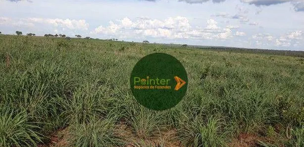 Fazenda / Sítio / Chácara à venda, 12387375m² no Área Rural de Gurupi, Gurupi