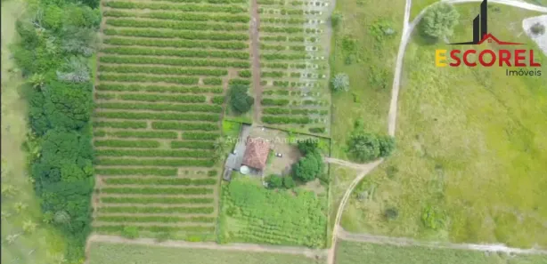 Fazenda / Sítio / Chácara com 2 Quartos à venda, 42000m² no , Alhandra