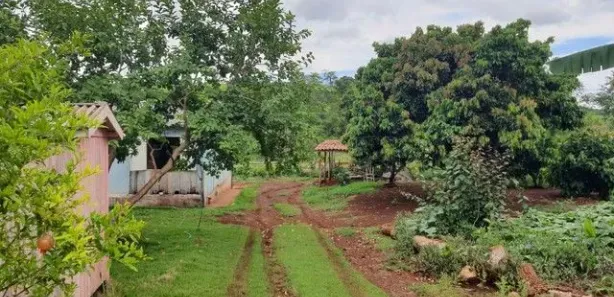 Fazenda / Sítio / Chácara com 3 Quartos à venda, 30000m² no Rural, Assaí