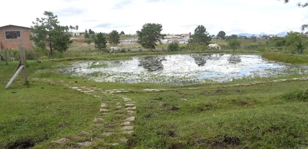Fazenda / Sítio / Chácara com 3 Quartos à venda, 450m² no Itapira, Quatro Barras