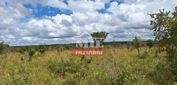 Fazenda / Sítio / Chácara à venda, 500m² no Setor Central, Ponte Alta do Tocantins