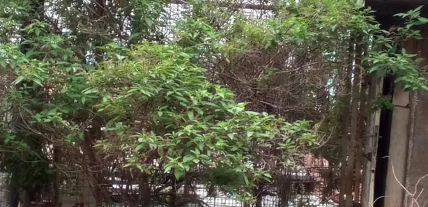 Terreno / Lote / Condomínio à venda, 137m² no Jardim São Luiz, Embu das Artes
