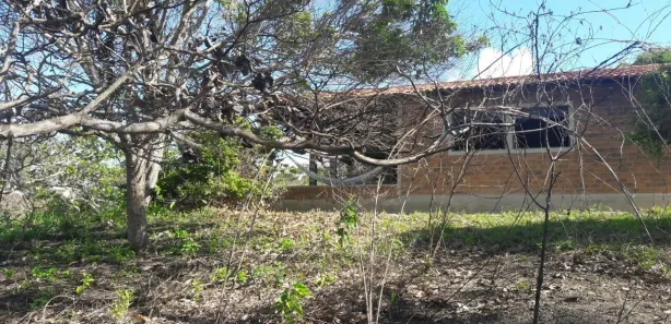 Fazenda / Sítio / Chácara com 1 Quarto à venda, 200m² no Alpes Suiços, Gravatá