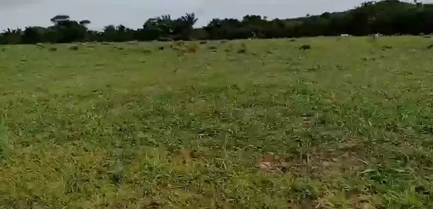 Fazenda / Sítio / Chácara à venda, 733m² no , Guaraí