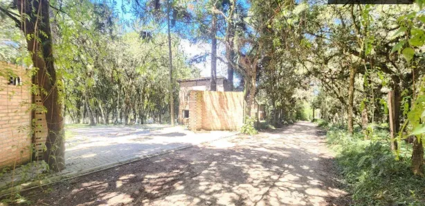 Fazenda / Sítio / Chácara com 3 Quartos à venda, 160m² no Campo Largo da Roseira, São José dos Pinhais