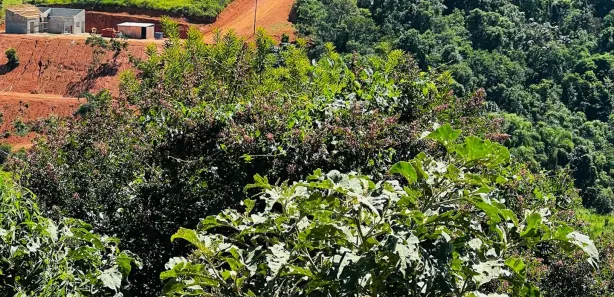 Terreno / Lote / Condomínio à venda, 600m² no , Igaratá