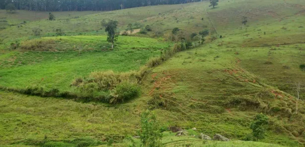 Fazenda / Sítio / Chácara com 3 Quartos à venda, 484000m² no , Redenção da Serra