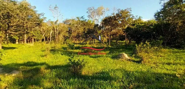Terreno / Lote / Condomínio à venda, 11250m² no Santa Paula, Ribeirão das Neves