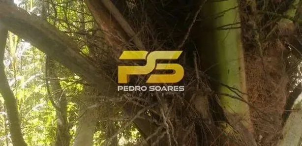 Fazenda / Sítio / Chácara com 3 Quartos à venda, 8000m² no , Conde