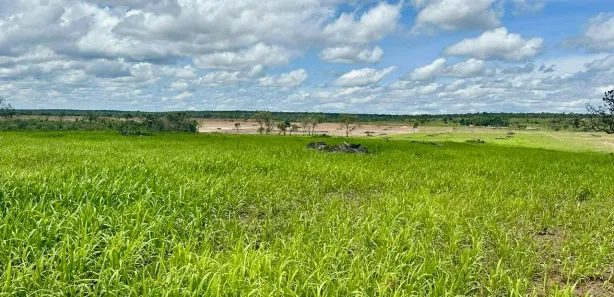 Fazenda / Sítio / Chácara à venda, 1m² no , Rio Sono