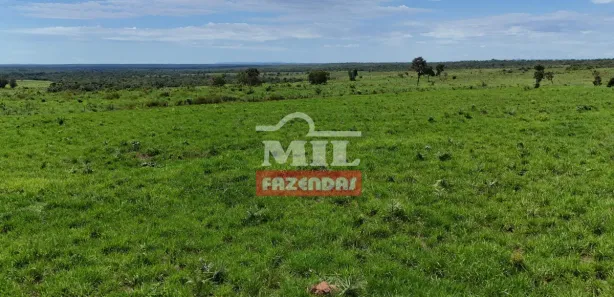 Fazenda / Sítio / Chácara à venda, 500m² no , Paranã