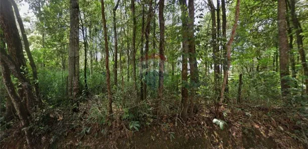 Terreno / Lote / Condomínio à venda, 1600m² no Ecoville, Nova Lima