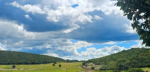 Fazenda / Sítio / Chácara à venda, 1000m² no , Alumínio