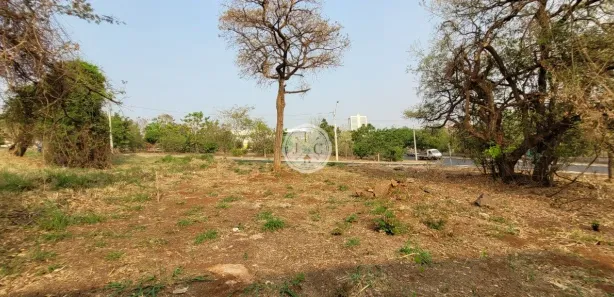 Terreno / Lote / Condomínio para alugar, 370m² no Alto da Boa Vista, Ribeirão Preto