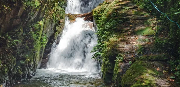 Fazenda / Sítio / Chácara com 3 Quartos à venda, 80000m² no Visconde de Mauá, Resende