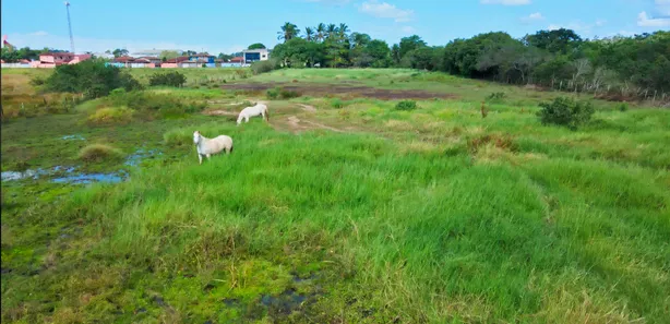 Fazenda / Sítio / Chácara à venda, 18000m² no Virgem Santa, Macaé