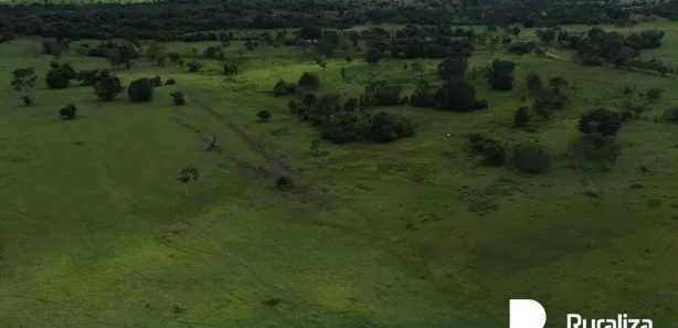Fazenda / Sítio / Chácara à venda, 1306m² no , Arapoema