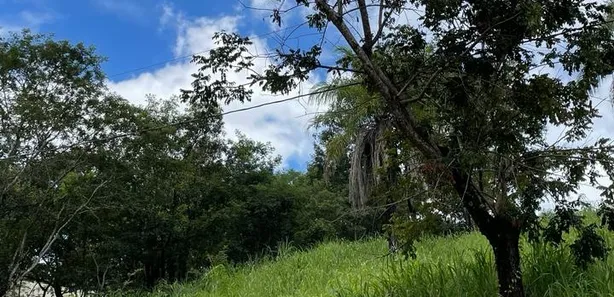 Terreno / Lote / Condomínio à venda, 1000m² no Jardim das Palmeiras, Capim Branco
