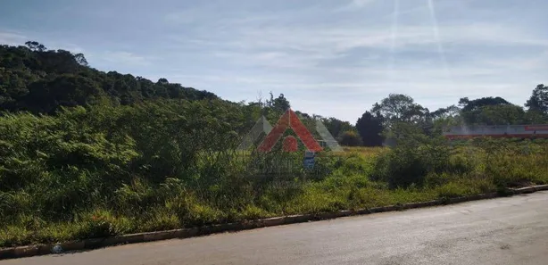 Terreno / Lote / Condomínio à venda, 8000m² no Vila São Pedro, Suzano