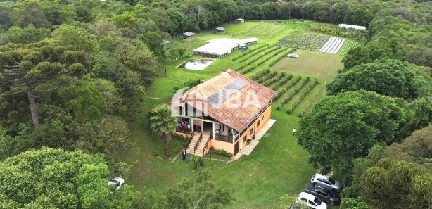 Fazenda / Sítio / Chácara com 4 Quartos à venda, 450m² no Santa Gema, Colombo