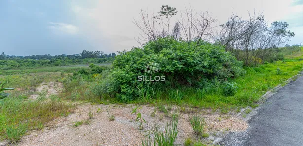 Terreno / Lote / Condomínio à venda, 5038m² no Loteamento Bosque Merhy, Quatro Barras