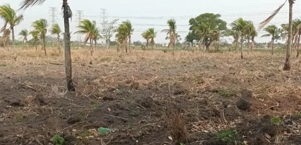 Fazenda / Sítio / Chácara à venda, 65000m² no Santa Cruz, Rio de Janeiro