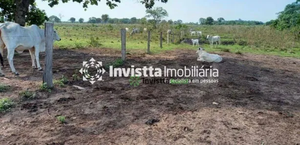 Fazenda / Sítio / Chácara à venda, 764m² no Centro, Cristalândia