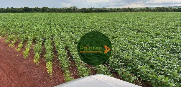 Fazenda / Sítio / Chácara à venda, 5030000m² no , Pedro Afonso