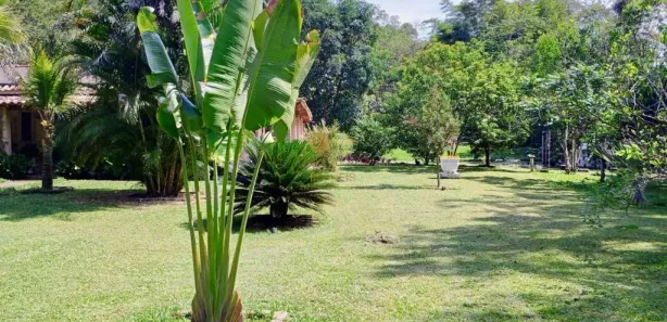 Fazenda / Sítio / Chácara com 3 Quartos à venda, 10000m² no Parque Nossa Senhora da Ajuda, Guapimirim