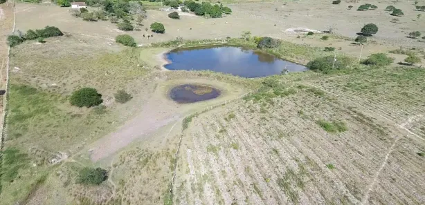 Fazenda / Sítio / Chácara à venda, 140000m² no , Sairé