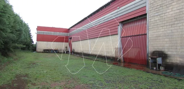 Galpão / Depósito / Armazém à venda, 4320m² no Jardim Regina, Araraquara