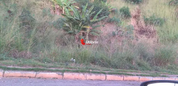 Terreno / Lote / Condomínio à venda, 1m² no São Damião, Vespasiano
