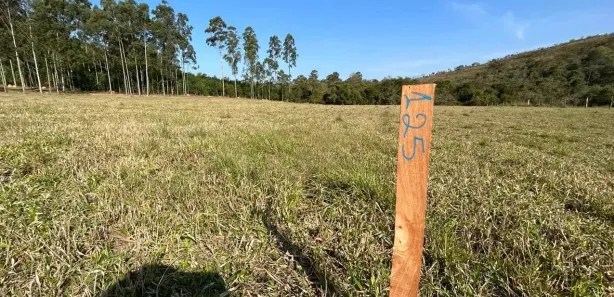 Fazenda / Sítio / Chácara com 4 Quartos à venda, 1000m² no , Alumínio