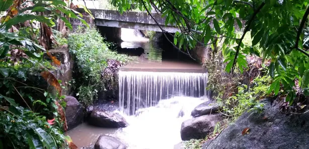 Fazenda / Sítio / Chácara com 7 Quartos à venda, 10000m² no Cantagalo, Guapimirim
