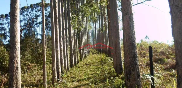 Fazenda / Sítio / Chácara com 5 Quartos à venda, 200m² no , Igaratá