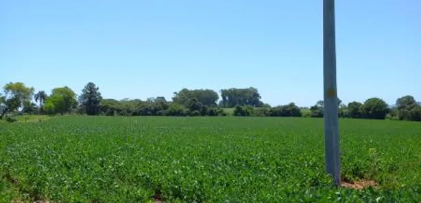 Fazenda / Sítio / Chácara à venda, 21000m² no Camobi, Santa Maria