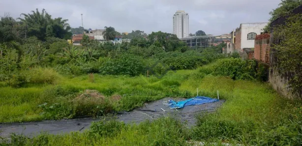 Terreno / Lote / Condomínio à venda, 6049m² no Jardim Rodrigues Alves, Ferraz de Vasconcelos