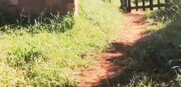 Fazenda / Sítio / Chácara com 3 Quartos à venda, 350000m² no , Passira