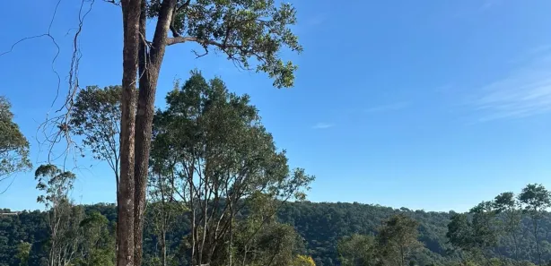 Terreno / Lote / Condomínio à venda, 1000m² no Saboó, São Roque