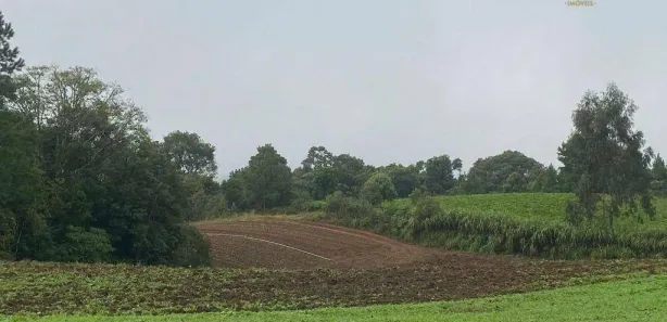 Fazenda / Sítio / Chácara à venda, 54000m² no , Tijucas do Sul