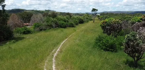 Fazenda / Sítio / Chácara à venda, 140000m² no , Chã Grande