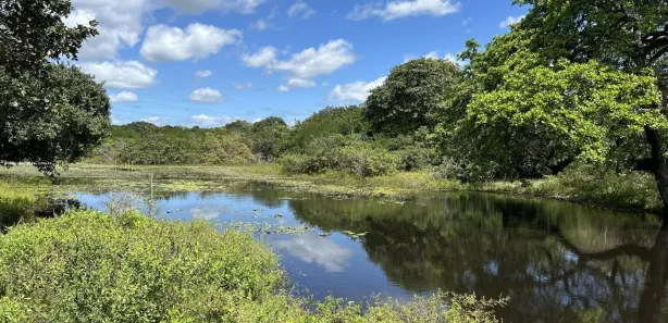 Terreno / Lote / Condomínio à venda, 270000m² no , São Gonçalo do Amarante