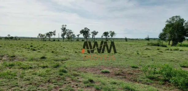 Fazenda / Sítio / Chácara à venda, 7647200m² no Centro, Cristalândia