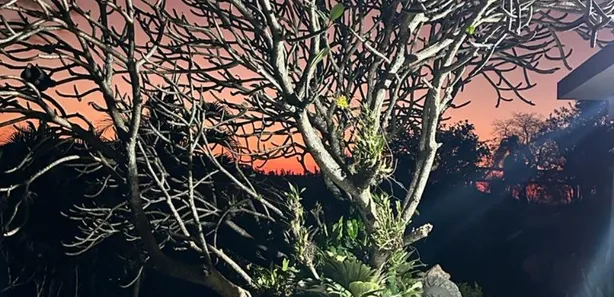 Fazenda / Sítio / Chácara com 4 Quartos à venda, 4500m² no Centro, Mairinque