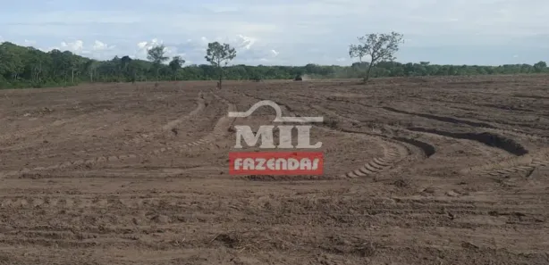 Fazenda / Sítio / Chácara à venda, 658000000m² no Setor Central, Ponte Alta do Tocantins