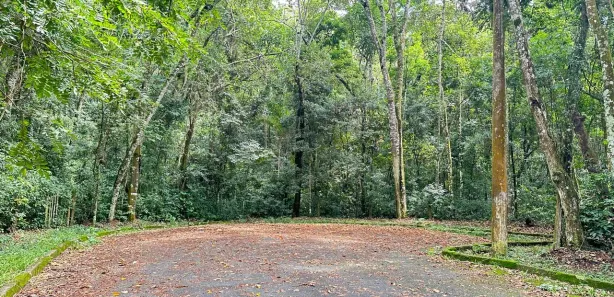 Terreno / Lote / Condomínio à venda, 25000m² no Caraguatá, Mairiporã
