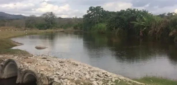 Fazenda / Sítio / Chácara com 4 Quartos à venda, 210m² no , Agrestina